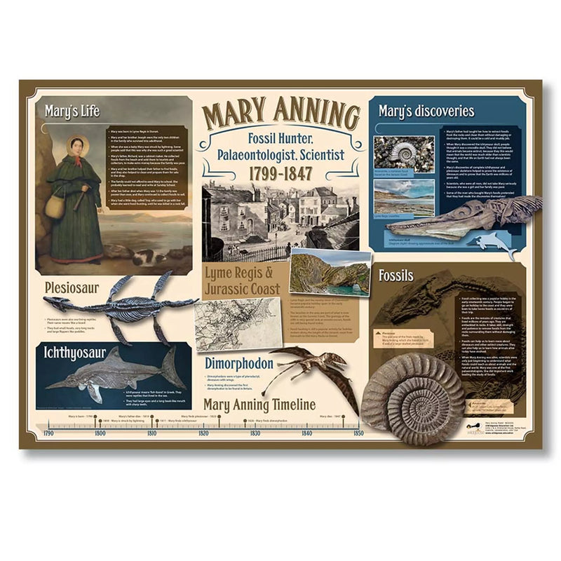 Mary Anning Collection