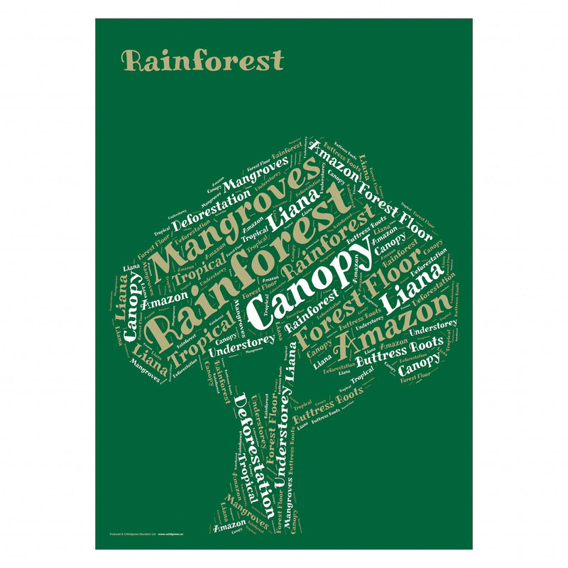 Rainforest Curriculum Pack