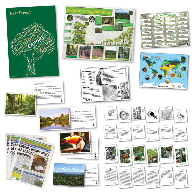 Rainforest Curriculum Pack