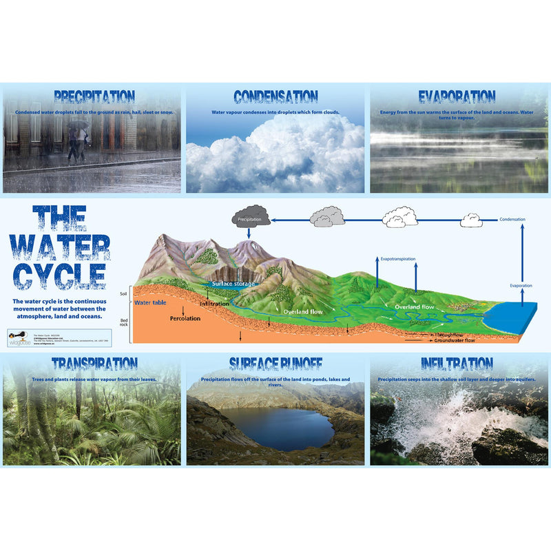 Water Cycle Curriculum Pack